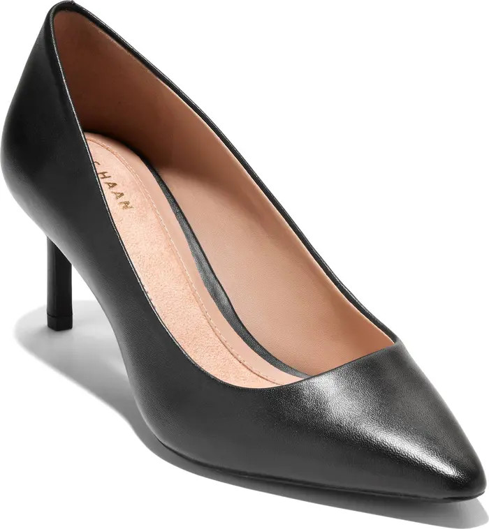The Go-To Janey Pointed Toe Pump (Women) | Nordstrom Rack
