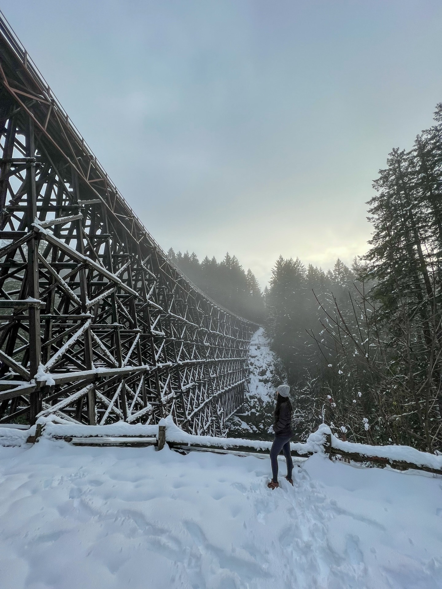 Kinsol Trestle 🌿
One of the tallest wooden railway trestles in the world, Kinsol Trestle stretches over the Koksilah River on Vancouver Island, just outside Shawnigan Lake. It’s part of the Trans Canada Trail and offers an easy, accessible walk with sweeping views of the forest and river below.

This winter, snow barely arrived—proof that even familiar seasons can surprise us. Expectations for perfect conditions or picture-perfect moments don’t always match reality. Goals give us direction, but rigid expectations can blind us to what’s right in front of us.

Walking here, noticing the textures of the wood, the river’s quiet flow, the whisper of the forest—this is where slowing down matters. It’s a reminder that beauty exists in the present, even when it’s unexpected or different from what we imagined.

Happy Monday 🤍 — take a moment to see, breathe, and appreciate the world as it is.

#LTKtravel #LTKwinter #LTKfitness