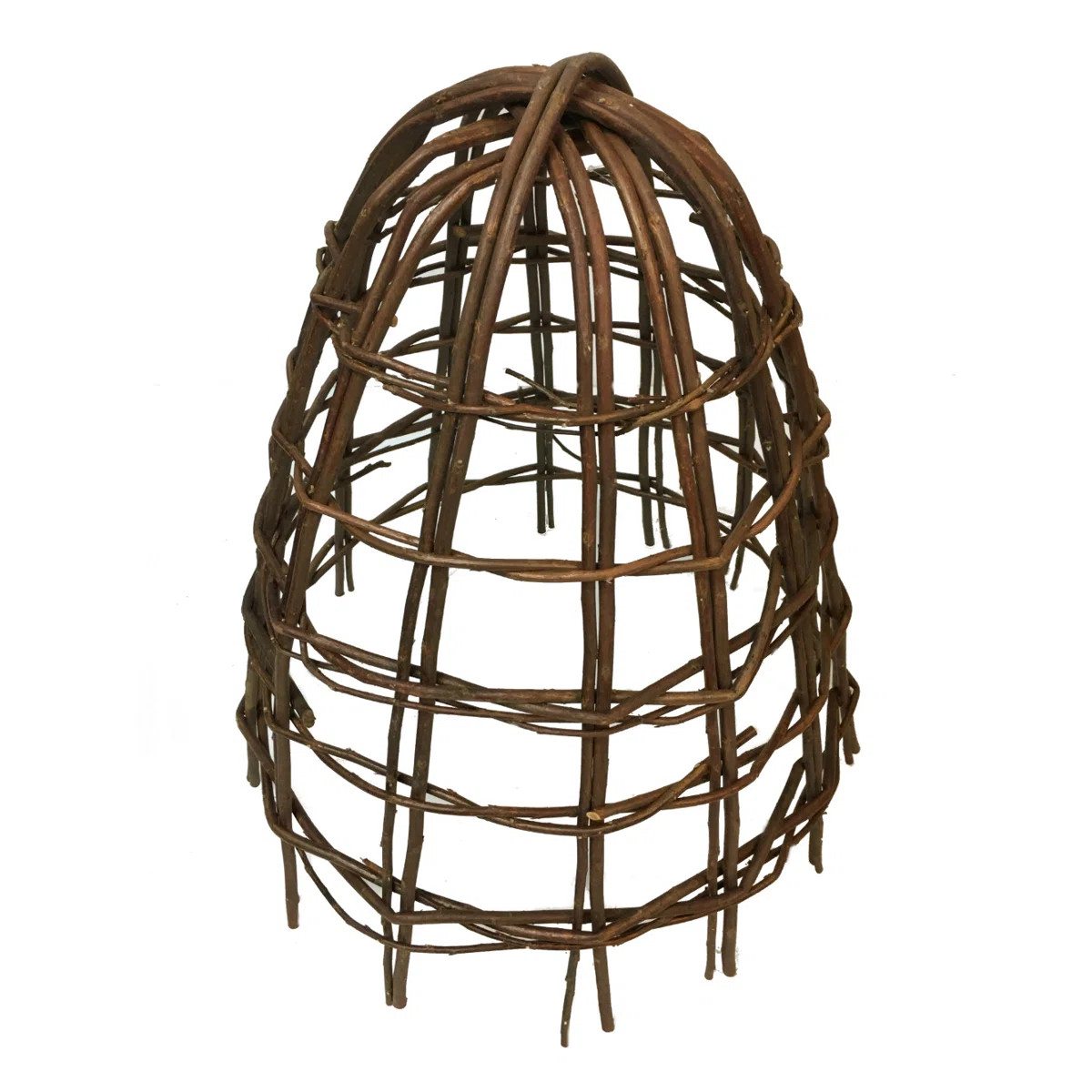 Willow Cloche Protector | Wayfair North America