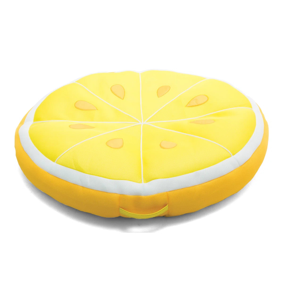 Big Joe Fruit Slice Pool Lounger | Wayfair North America