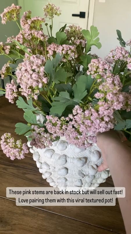 Loving these viral pink stems! They look so realistic and they are back in stock! Paired them with everyone’s favorite textured pot from anthro! 

#LTKfindsunder50 #LTKVideo #LTKhome