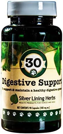 Silver Lining Herbs 30 Canine Digestive Support - Herbal Canine Supplement to Maintain Normal Dig... | Amazon (US)
