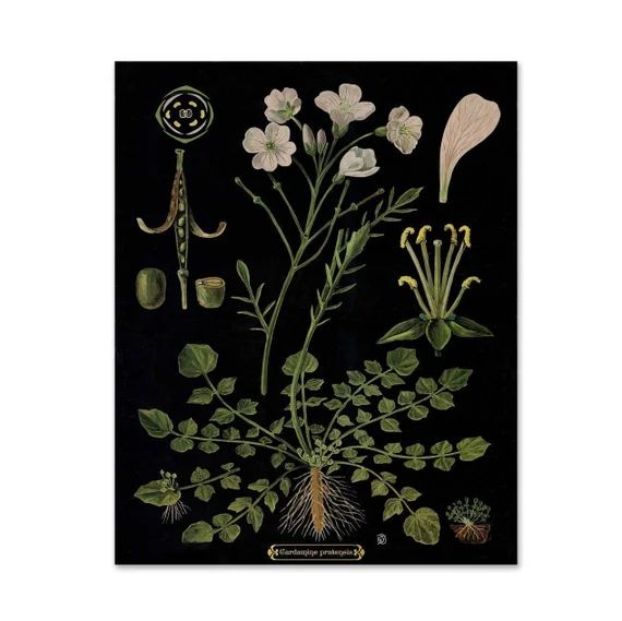 Mother's Day Gift Vintage Botanical Print Cottagecore | Etsy | Etsy (US)