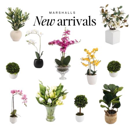 New drops: Spring Faux Florals

Can I just say that Marshalls always has the BEST faux plants?  I swear by their orchids. So. Darn. Good 

Marshalls just dropped a ton of new finds, so be sure to check out my other spring posts today- you're not gonna want to miss it. 

Follow @howtoloveyourhouse for daily shopping trips, more sources, & daily inspiration 

coastal finds, chinoiserie, blue and white, neiman marcus, nordstrom, belk, modern, bold, pop of color, anthro, anthropologie, home goods, marshalls, bloomingdales, serena lily, tabletop, table setting, set the table, summer decor, entertaining inspo, weekend sale, studio mcgee x target new arrivals, coming soon, new collection, fall collection, console table, bedroom furniture, dining chair, counter stools, end table, side table, nightstands, framed art, art, wall decor, rugs, area rugs, target finds, target deal days, outdoor decor, patio, porch decor, sale alert, pool decor, tj maxx, pillows, throw pillow, outdoor entertaining, patio inspo, outdoor furniture, coastal grandmother, amazon home, world market, ballard designs, opalhouse, wayfair finds, high end look for less, studio mcgee, target home, boho, modern coastal, grandmillenial, hearth and hand. Pb, pottery barn, crate and barrel, cane furniture, rattan, wicker


#LTKhome #LTKfindsunder100 #LTKSeasonal