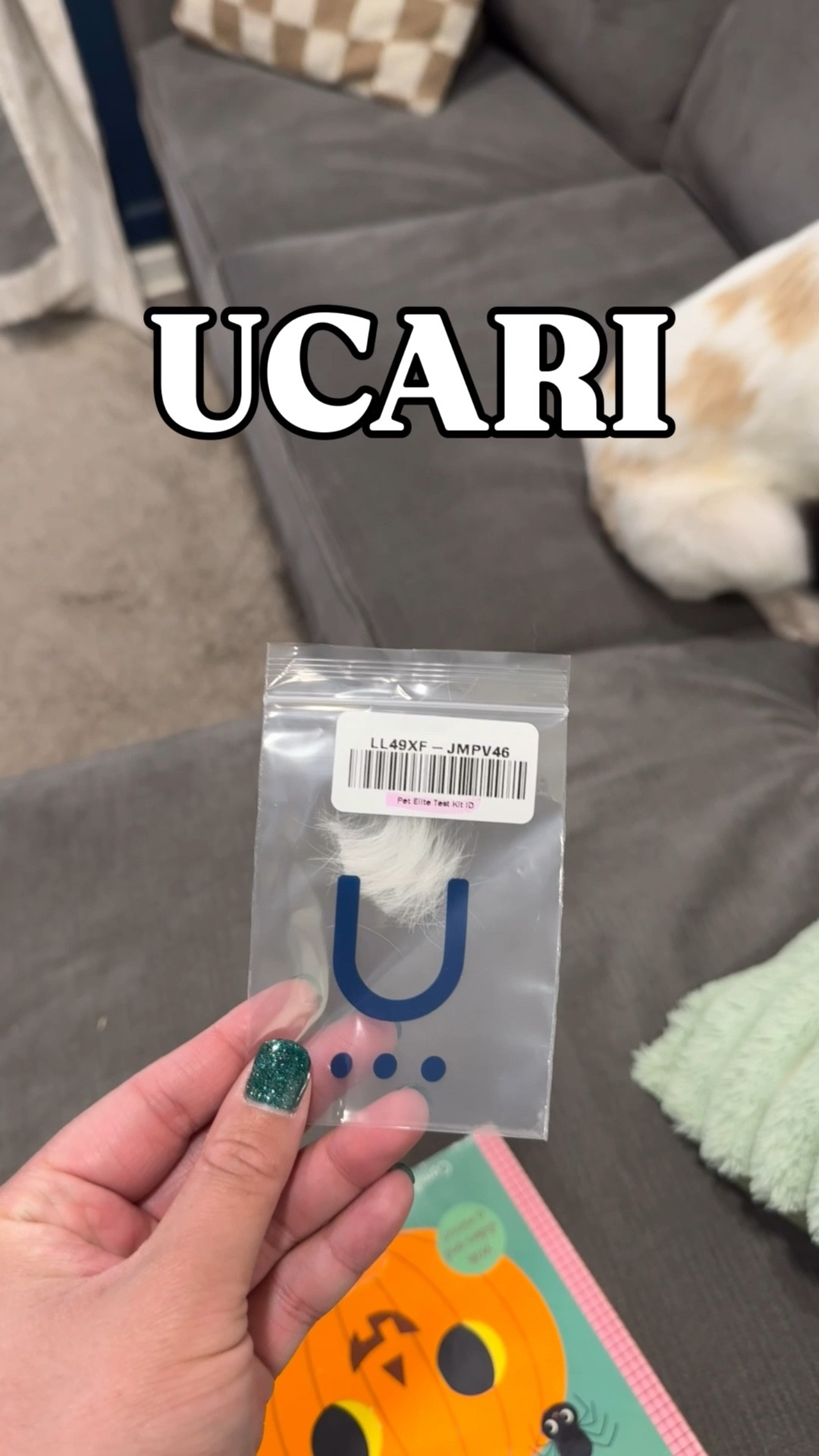 UCARI pet sensitivity test screens for 1000+ intolerances in cats or dogs (different from allergies)  

#LTKHome