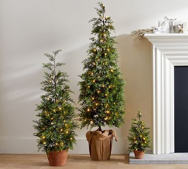 Light Up Potted Faux Juniper Trees | Pottery Barn (US)