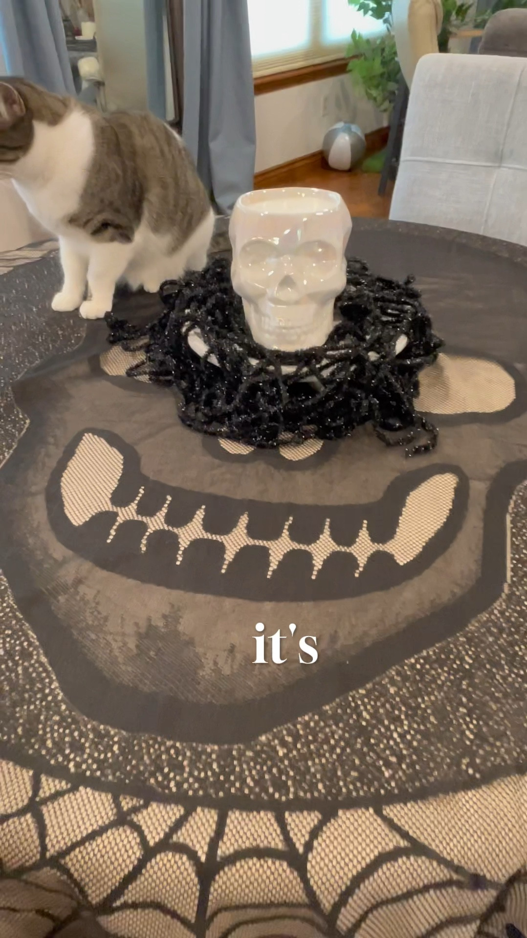 Skull decoration lovers, Cat Coraline wants you to see one of her favorite Halloween decorations. 


#LTKVideo #LTKHome #LTKSeasonal