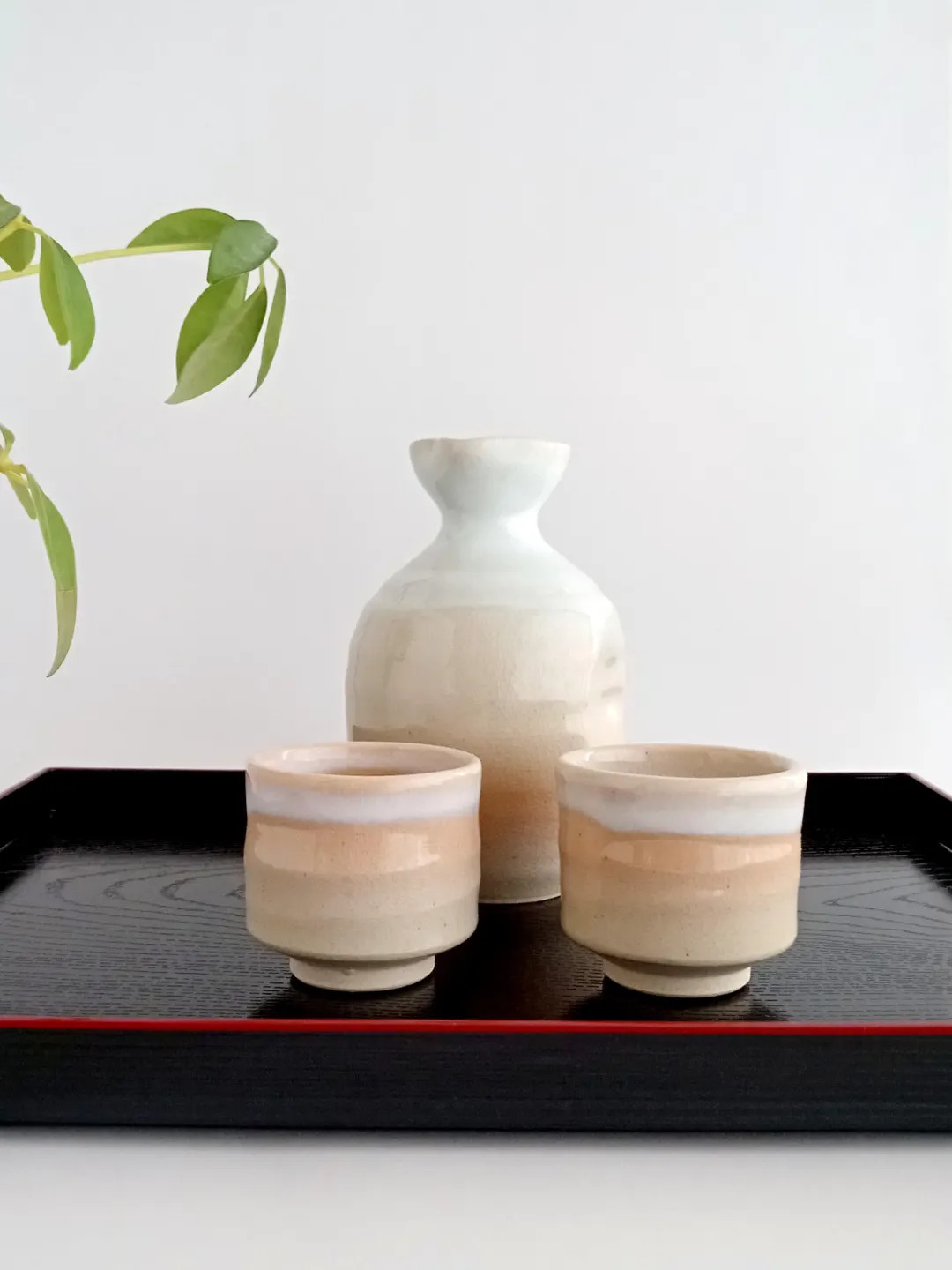 Vintage Hagi Yaki Sake Set: Chikurin Kiln Tokkuri & Guinomi Cups - Etsy | Etsy (US)