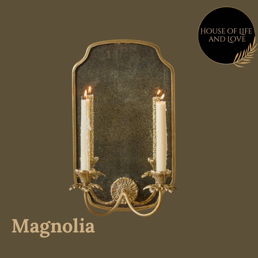 Mirrored sconce

#LTKHome #LTKStyleTip #LTKFindsUnder100