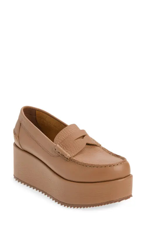 Pedro Garcia Nusa Loafer in Chestnut Cervo at Nordstrom, Size 38 | Nordstrom