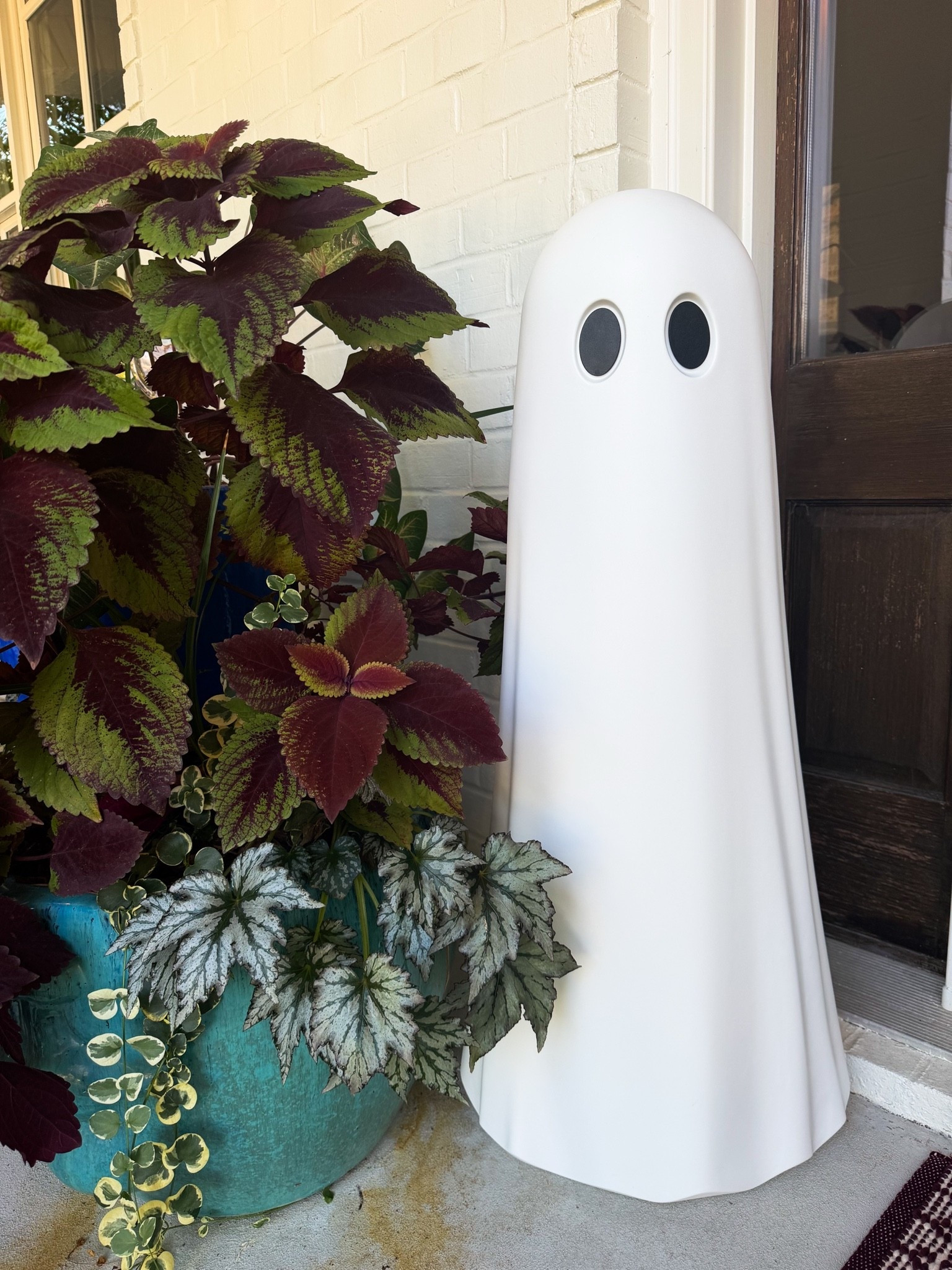 spooky fun for fall!!

#LTKHome #LTKSeasonal