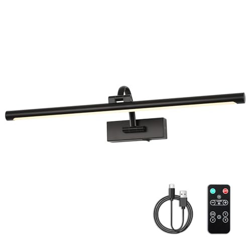 DESOOP Dimmable Black Picture Lights with Remote and Timer Wireless Art Lights Rechargeable Gallery Lighting for Canvas Portrait 24'' Inch 5W Warm White | Amazon (US)