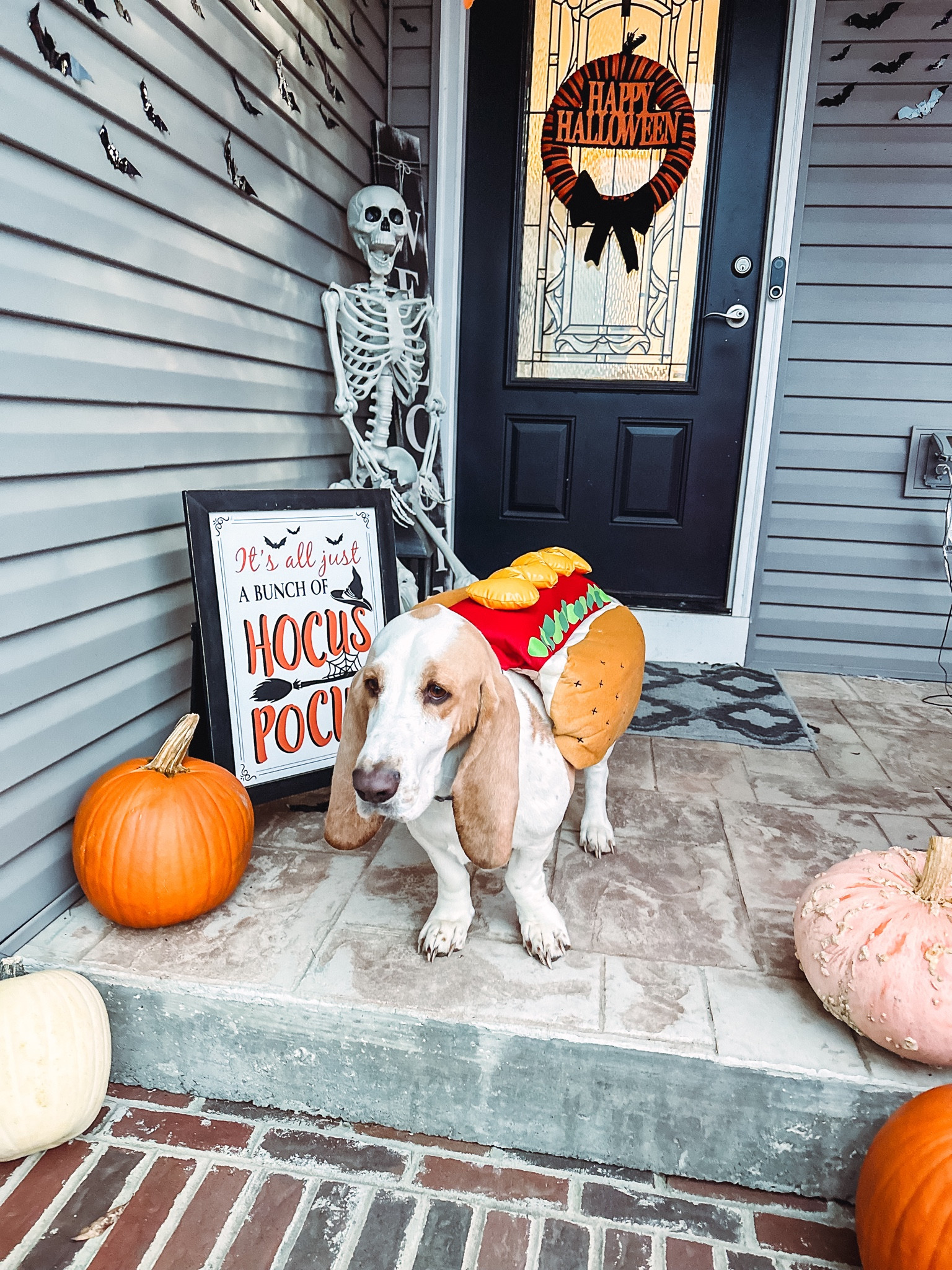 Hotdog Halloween costume from target! So cute and super easy to get on and off! #target #halloweencostume 

#LTKHalloween #LTKsalealert #LTKSeasonal