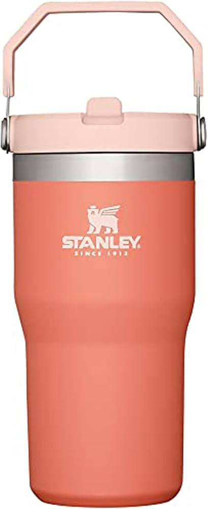 STANLEY IceFlow Stainless Steel Tumbler with Straw, Vacuum Insulated Water Bottle for Home, Offic... | Amazon (US)