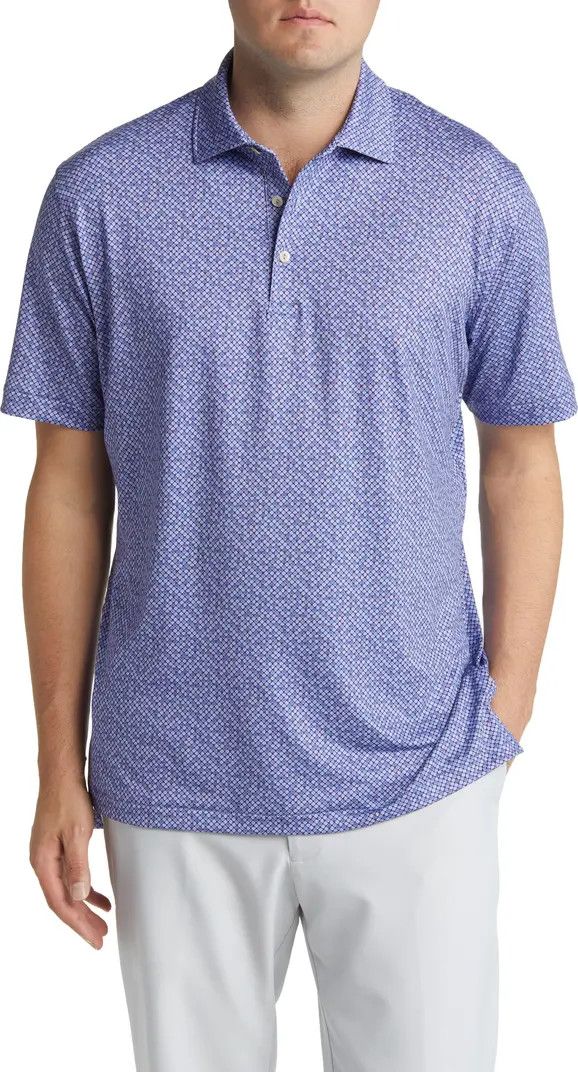Sterling Print Performance Polo | Nordstrom