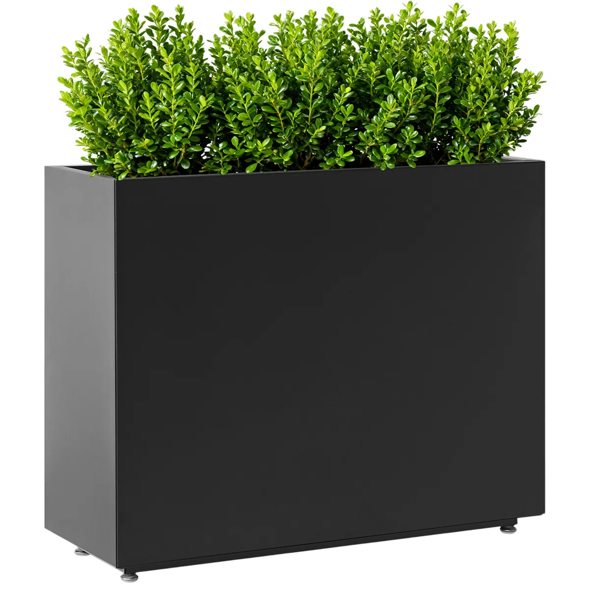 36Wx11Dx30H Inches Black Metal Planter Box with Removable Middle Shelf, Large Outdoor Rectangular... | Wayfair North America