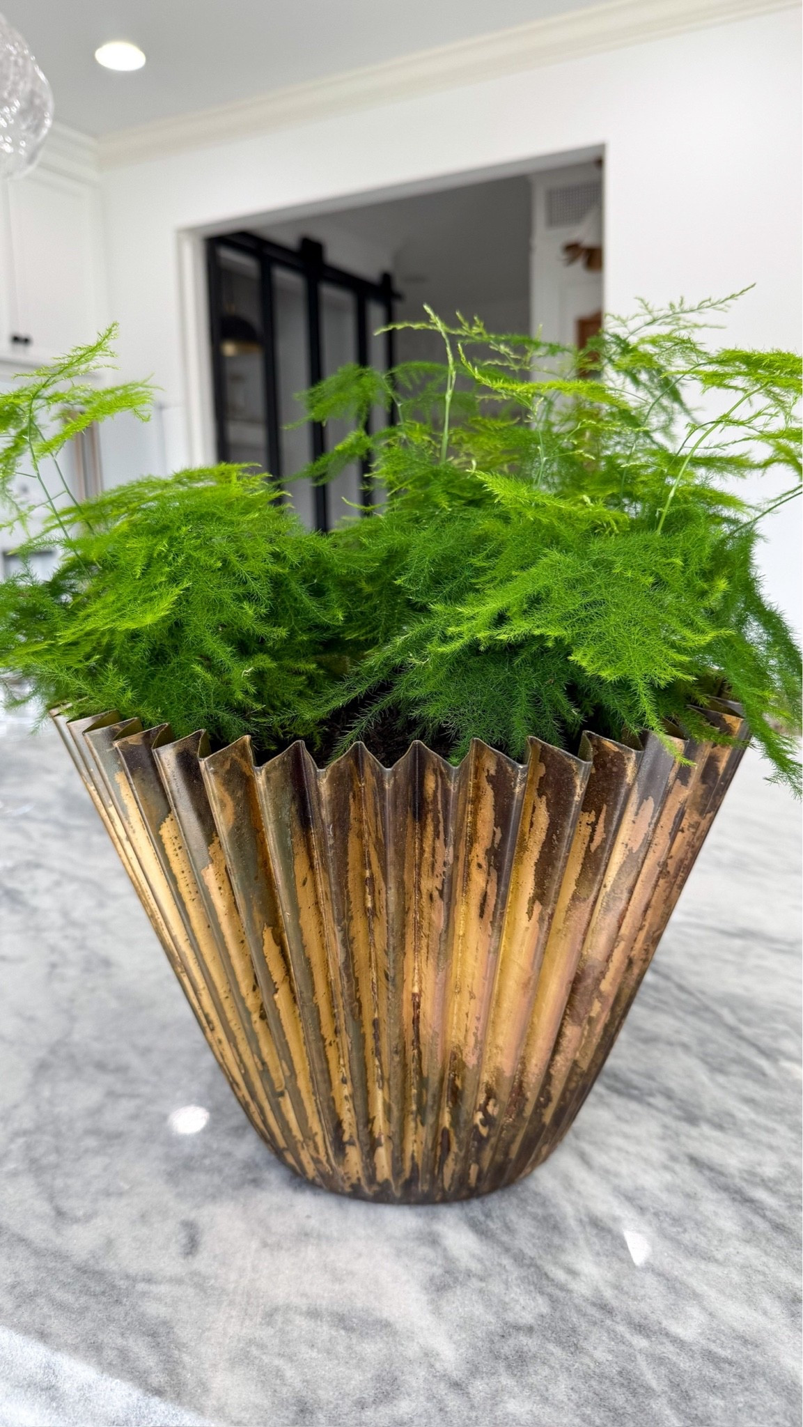 Loving these planters! So cute as a centerpiece

#LTKHome