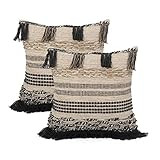 Christopher Knight Home Alice Hand-Loomed Boho Throw Pillow (Set of 2), MULTICOLOR | Amazon (US)