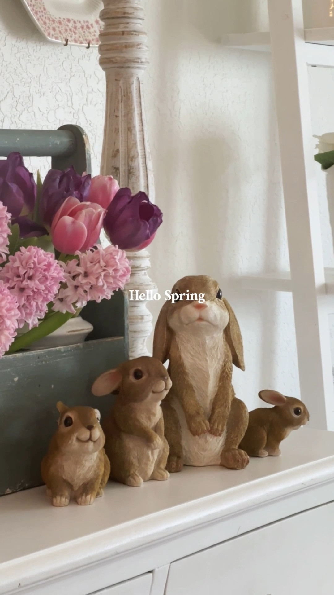 Aren’t these bunnies cute!!😃🐰

Lifelike bunny decor 🐰🐰🐰
Spring home decor 


#LTKHome #LTKSeasonal #LTKSpringSale