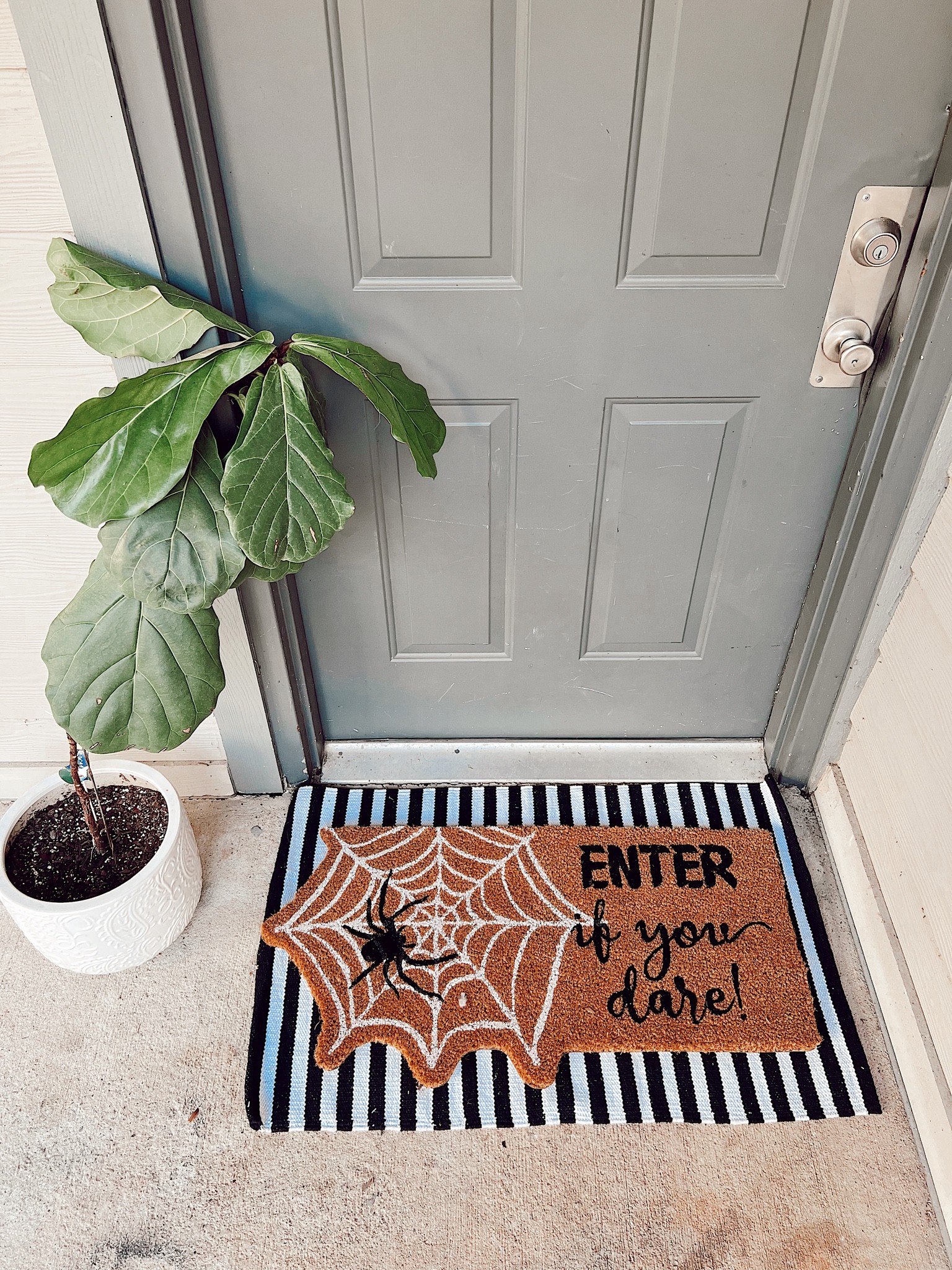 💀👻It’s never to early to start the spooky season! 🕷🎃

#LTKSeasonal #LTKfamily #LTKhome