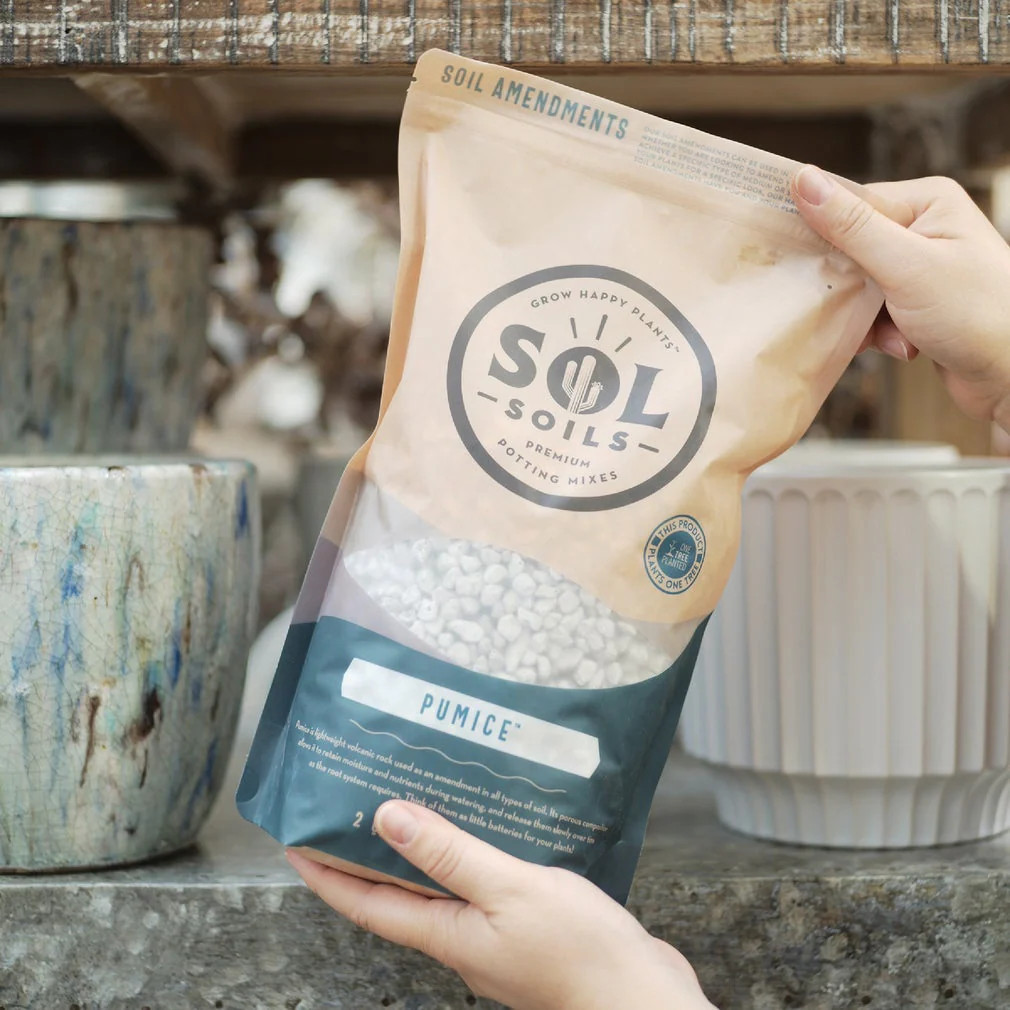 Sol Soils Pumice Seed Premium Lightweight Soil Amendment for Indoor Outdoor Plants one_size | SOL-03-003-03 | Lowe's