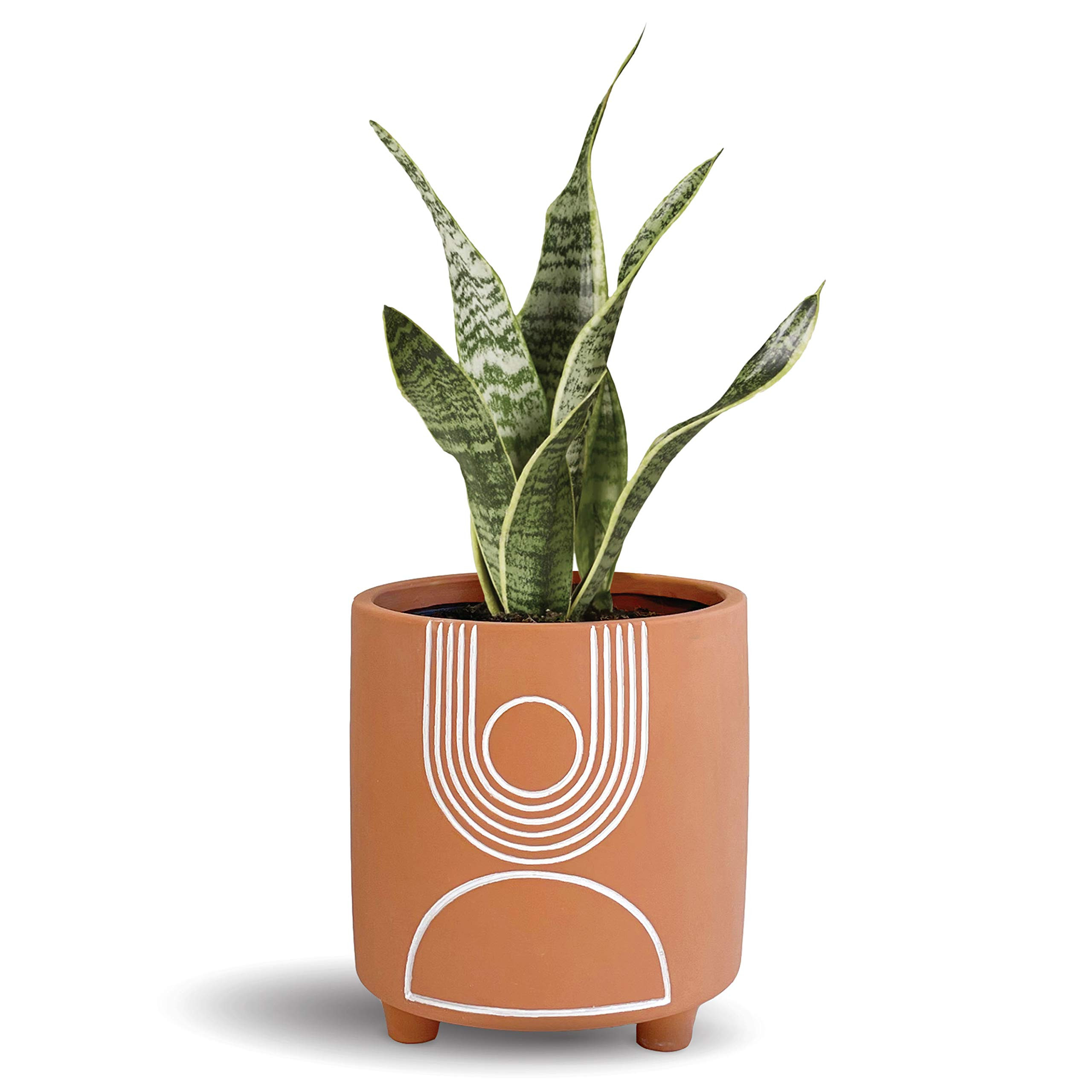Terracotta Arch Clau Pot | Amazon (US)