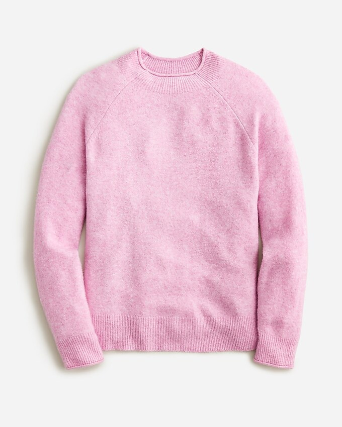Rollneck sweater in Supersoft yarn | J. Crew US