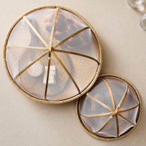 Screened Food Dome | West Elm (US)