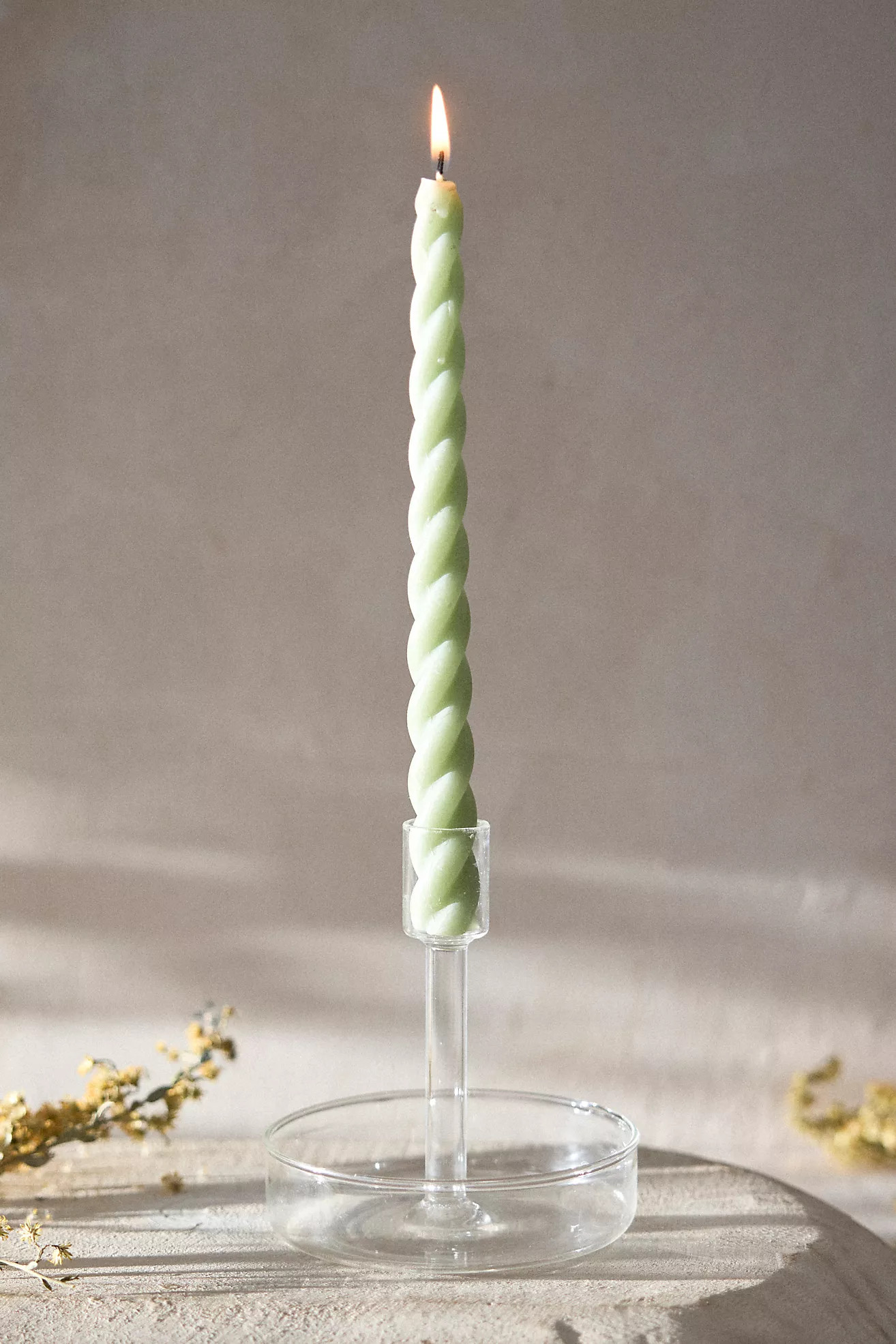 Dish Taper Candlestick Holder | Anthropologie (US)