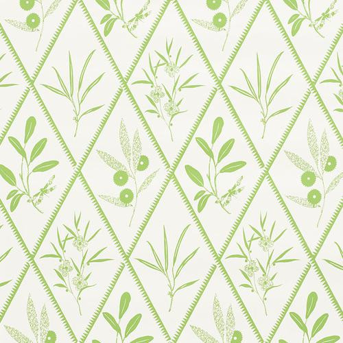 Schumacher Endimione Leaf Wallpaper | DecoratorsBest | DecoratorsBest