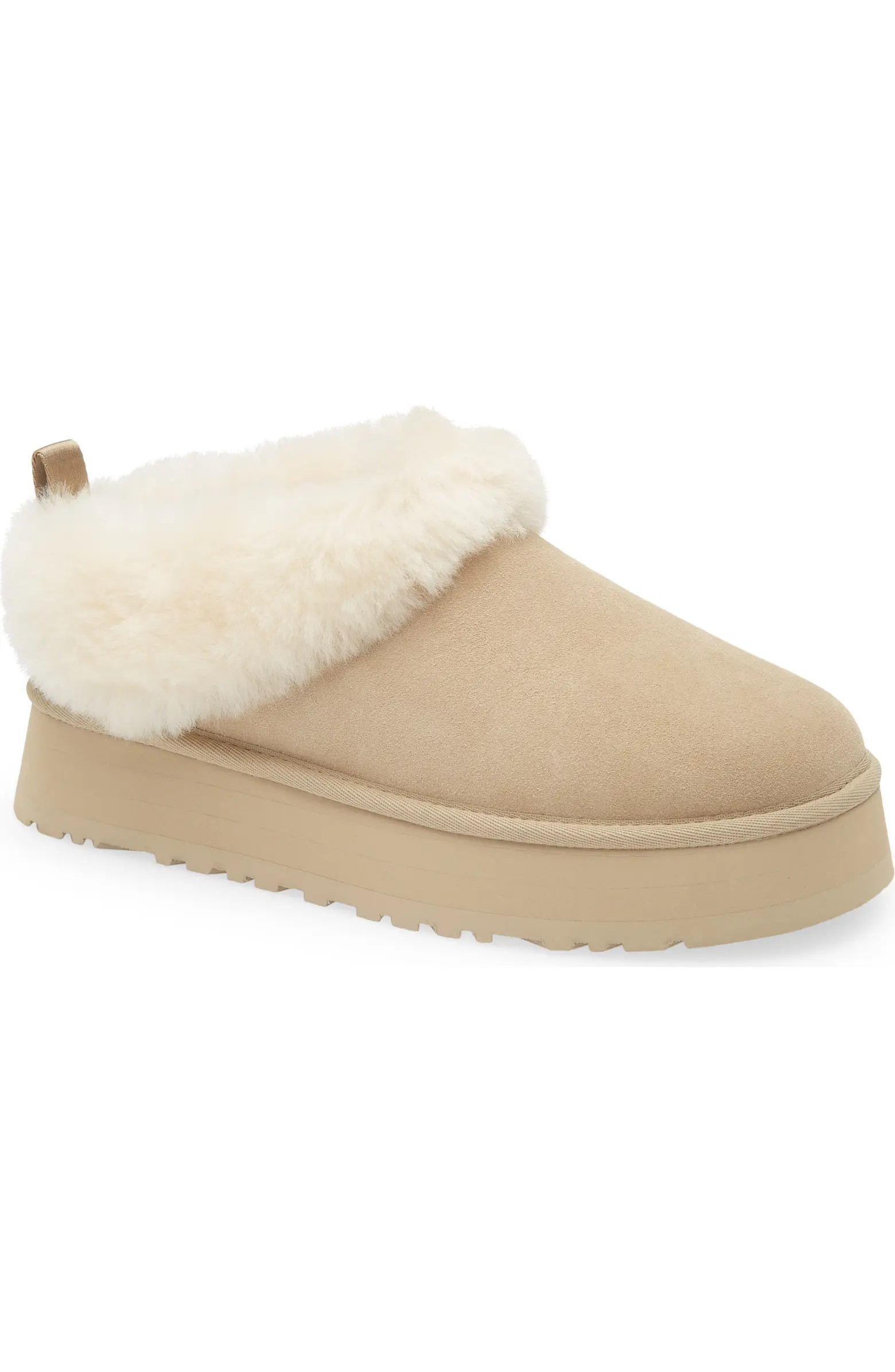 Tazzelle Genuine Shearling Collar Slipper (Women) | Nordstrom
