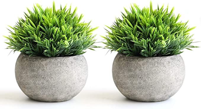 THE BLOOM TIMES 2 Pcs Fake Plants for Bathroom/Home Office Decor, Small Artificial Faux Greenery ... | Amazon (US)