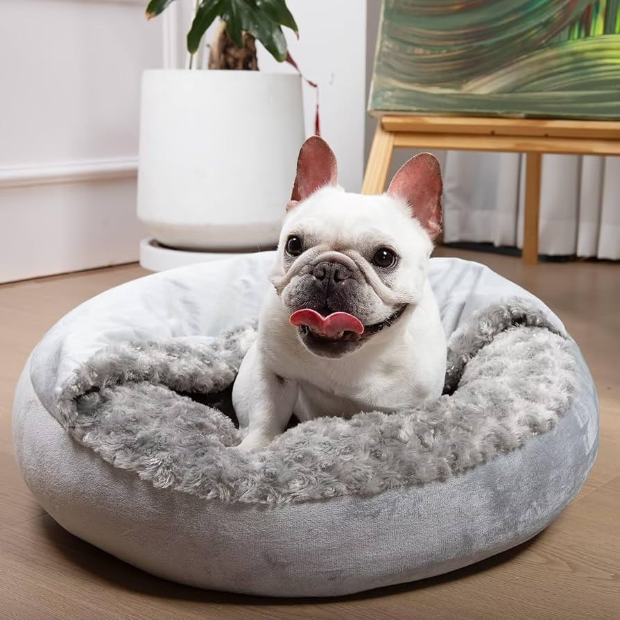 Small Dog Bed with Blanket Installation Required Removable Cover Cave Washable Cat Pet Bed for Cr... | Amazon (US)