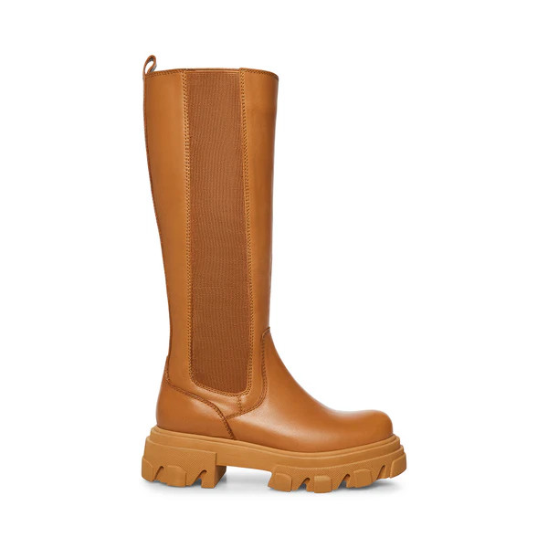 WAYDE TAN LEATHER | Steve Madden (US)