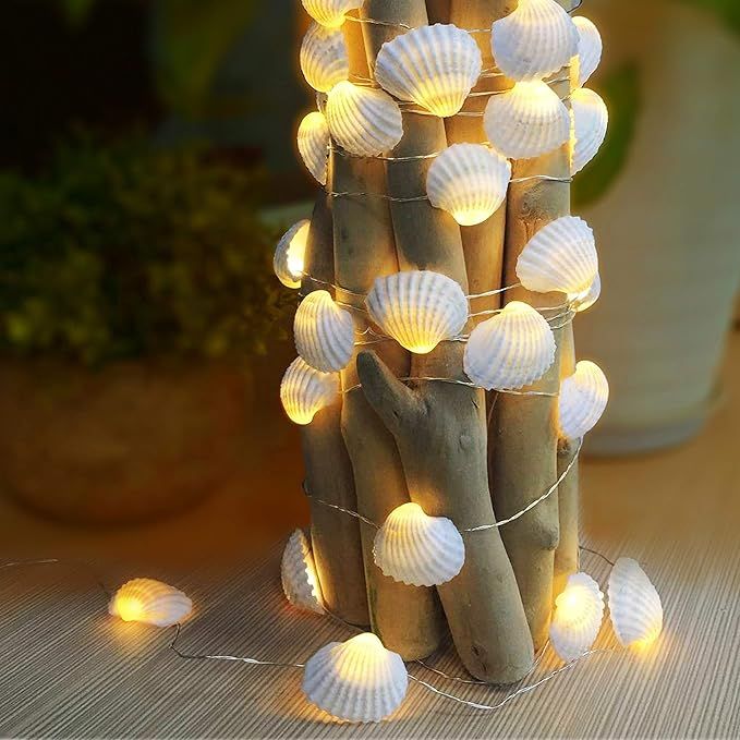 WSgift Natural Beach Seashell String Lights 13.85 Ft 40 Warm White LED Weatherproof Battery Opera... | Amazon (US)