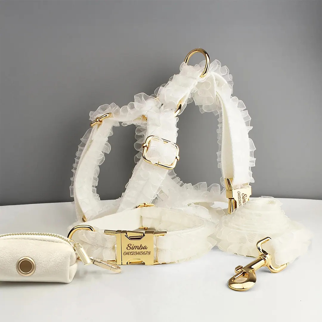 White Dog Collar, Custom Lace H-style Dog Harness With Name, Velvet Dog Poop Bag, Leash, for Wedd... | Etsy (US)