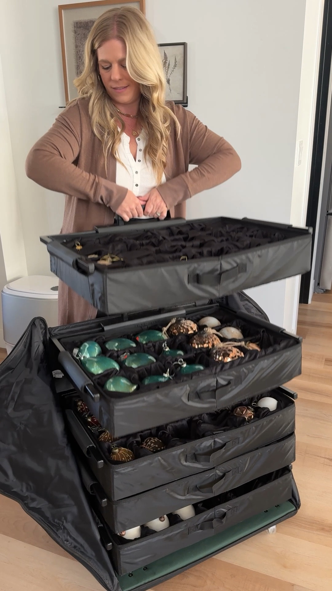 Christmas tree ornament organizer, and storage container. 

#LTKHoliday #LTKSeasonal #LTKWatchNow