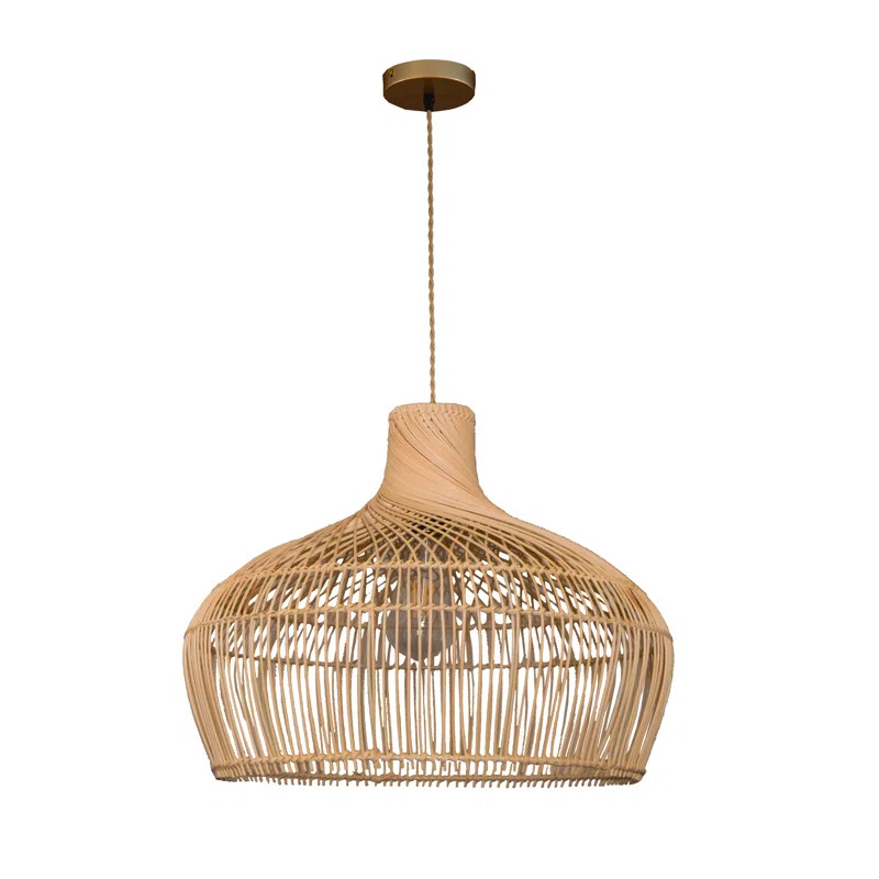 Barwin 1 - Light Rattan Light | Wayfair North America