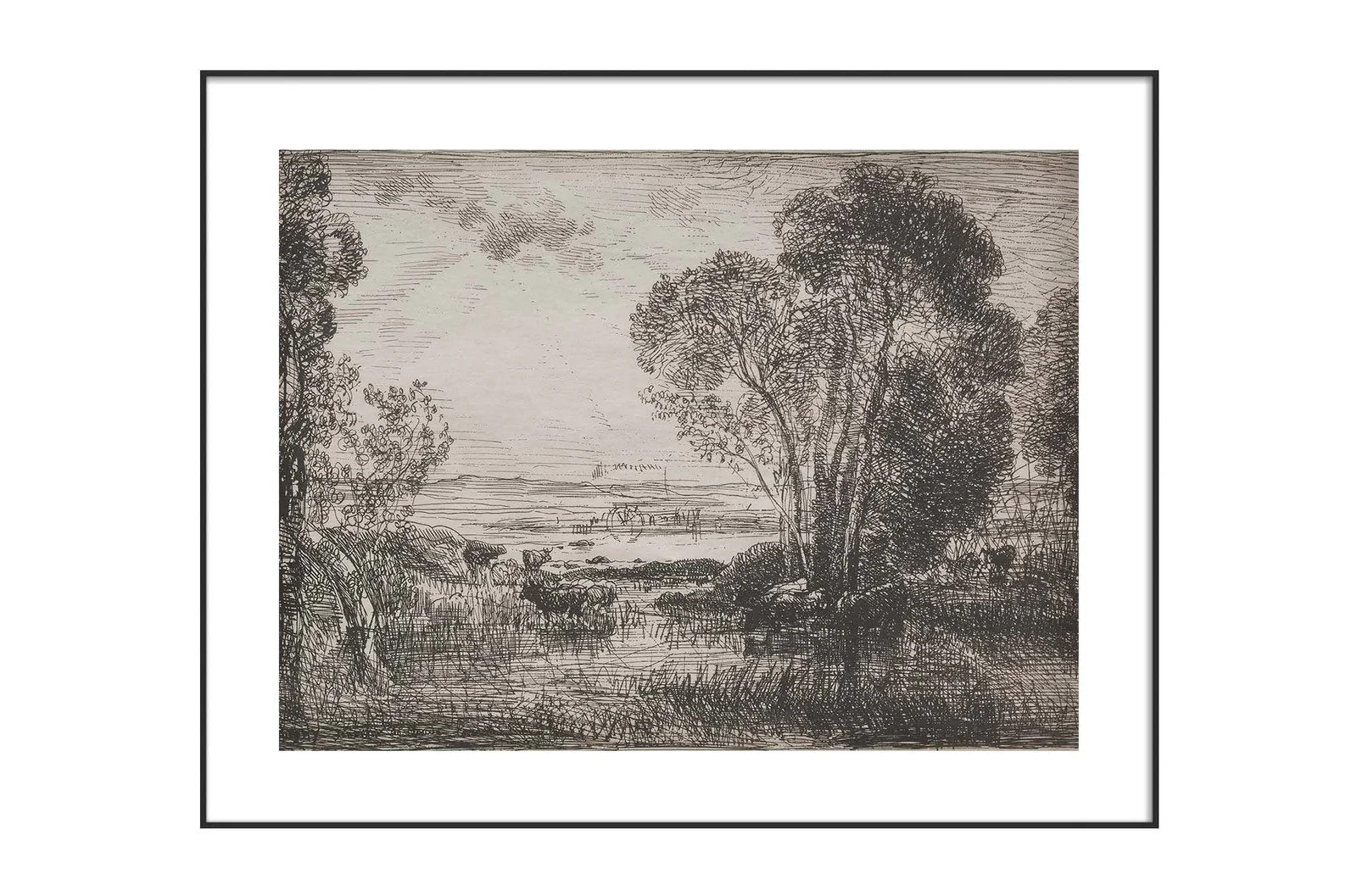 Meadow Sketch II | North and Finch