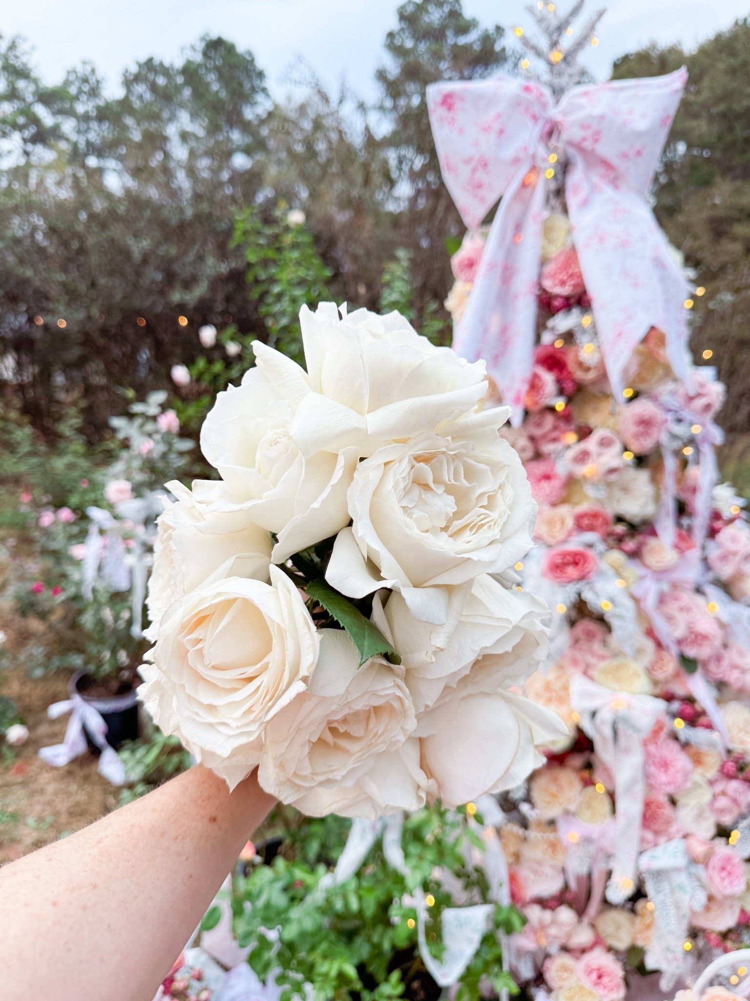 Princess Miyuki!

#LTKSeasonal #LTKGiftGuide #LTKOver40