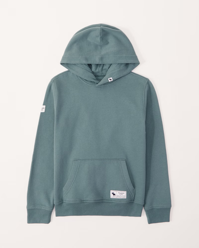essential logo hoodie | Abercrombie & Fitch (US)