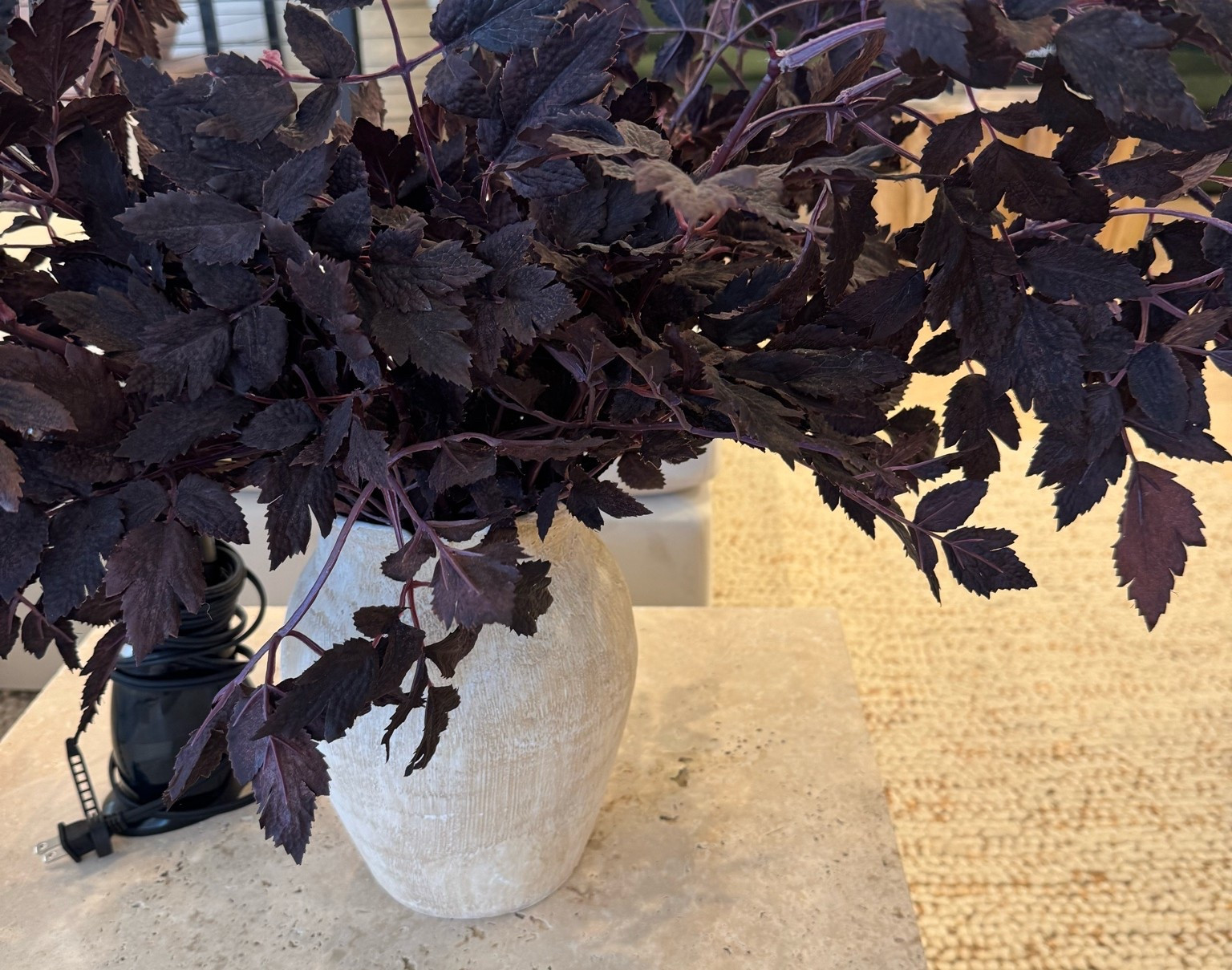 Faux Fall Foliage 🍁 25% off with code FALL25

Fall stems

#LTKSeasonal