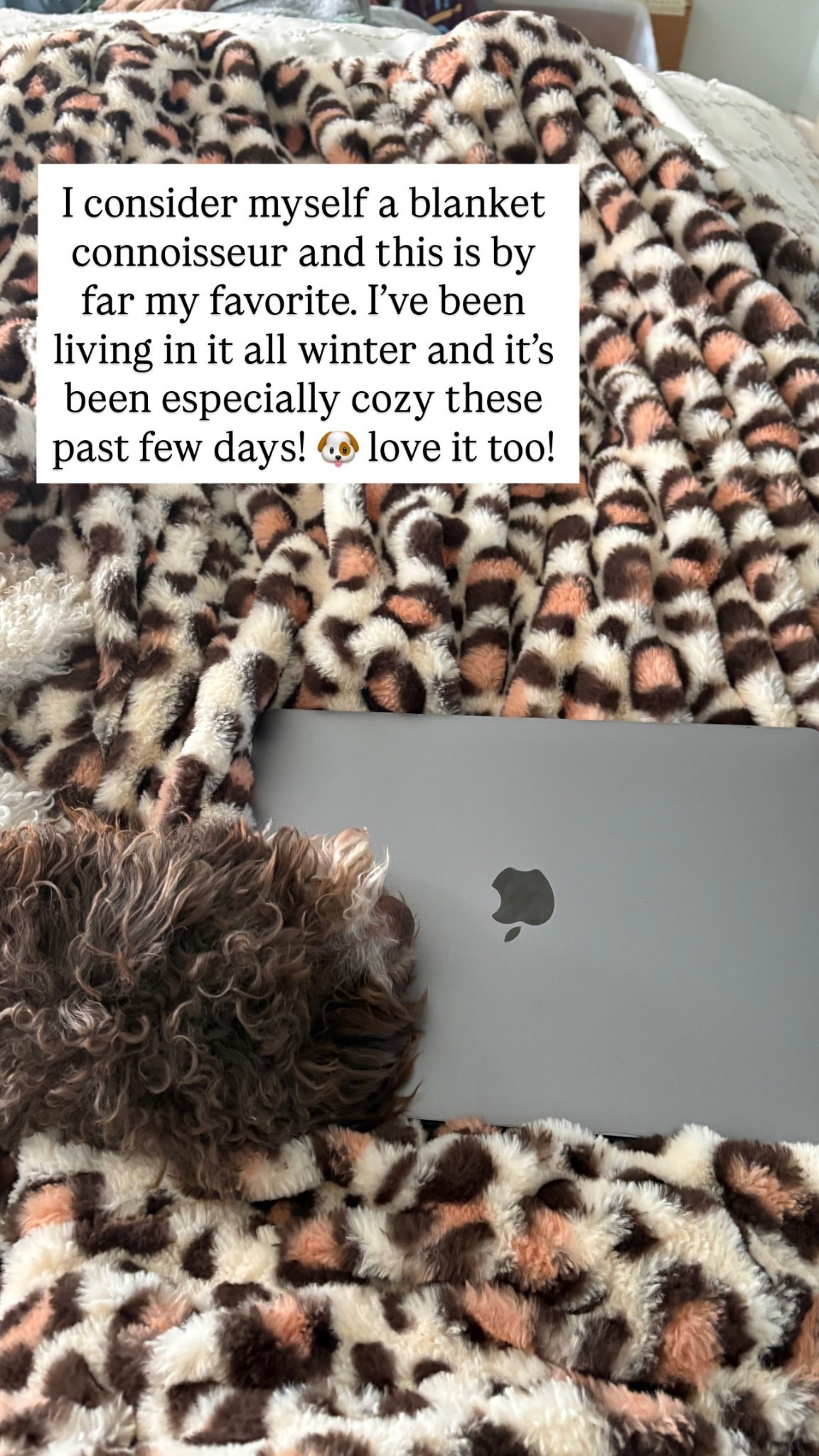 The coziest and warmest blanket from someone who runs hot! 

#LTKHome #LTKselfcare #LTKSeasonal