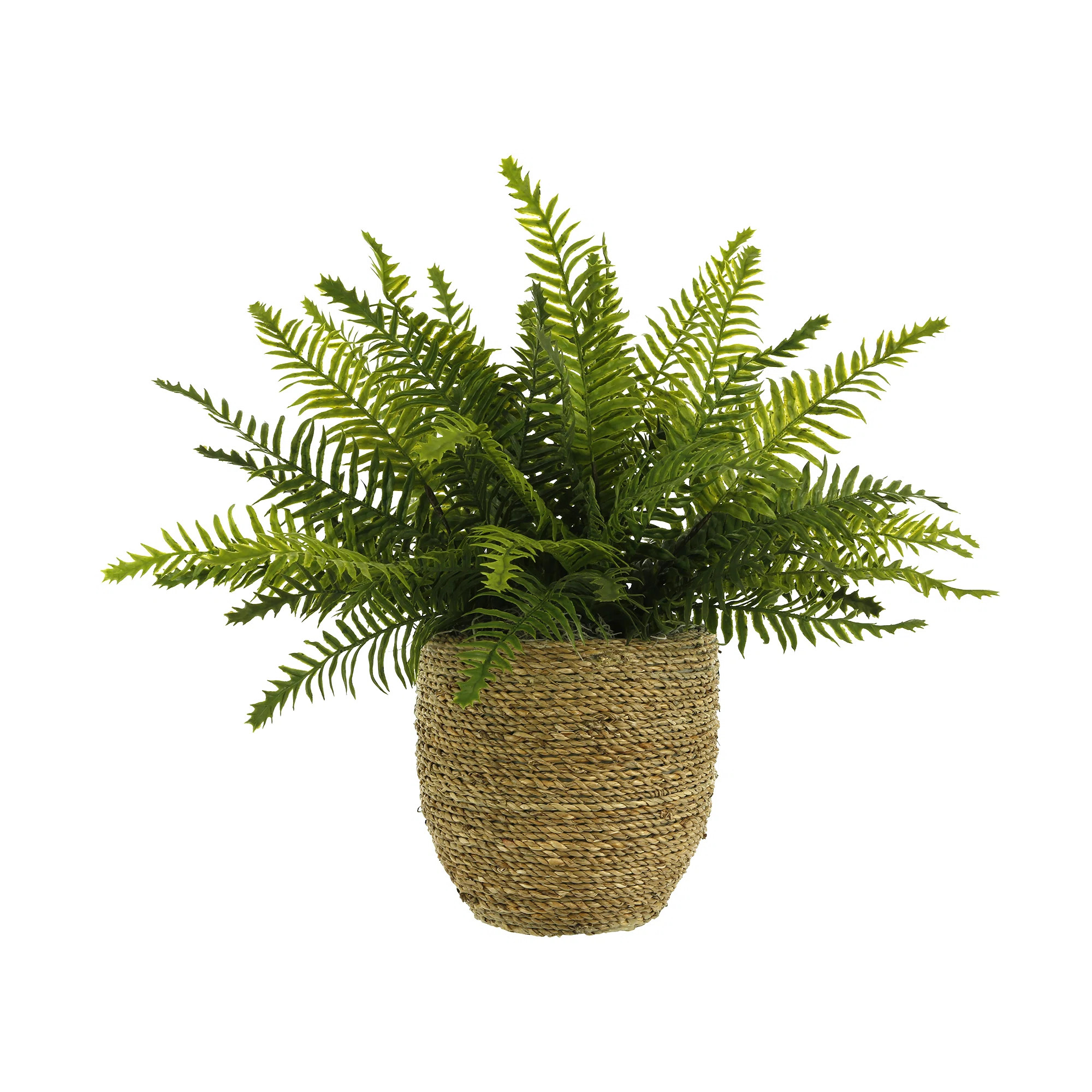 UV Rated Outdoor Boston Fern in Straw grass Wrapped Pot | Perigold