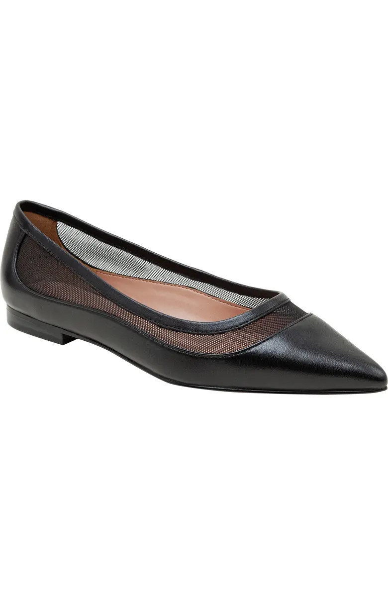 Novah Pointed Toe Flat (Women) | Nordstrom