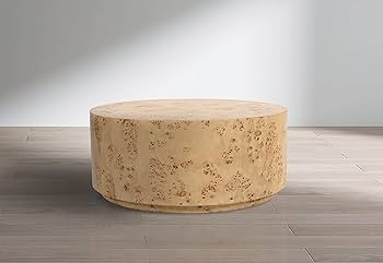 Meridian Furniture Collection Mid-Century Modern Coffee Table with Burl Wood and Curved Art Deco ... | Amazon (US)
