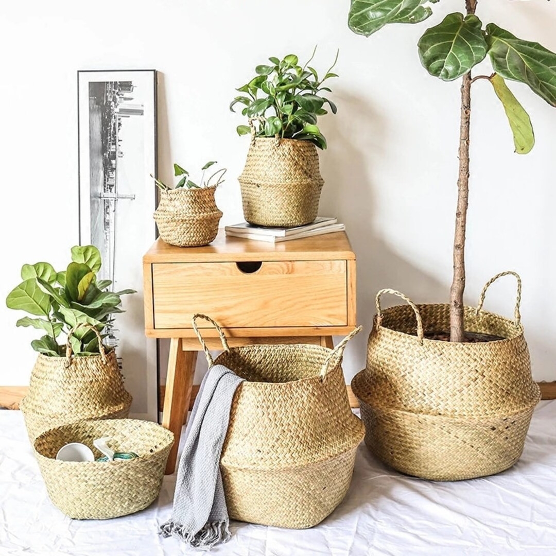 Woven Belly Basket Seagrass Rattan Wicker Planter - Etsy UK | Etsy (UK)