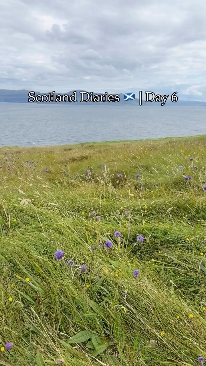 Scotland Diaries Day 6

#LTKstorytime #LTKvlog #LTKTravel