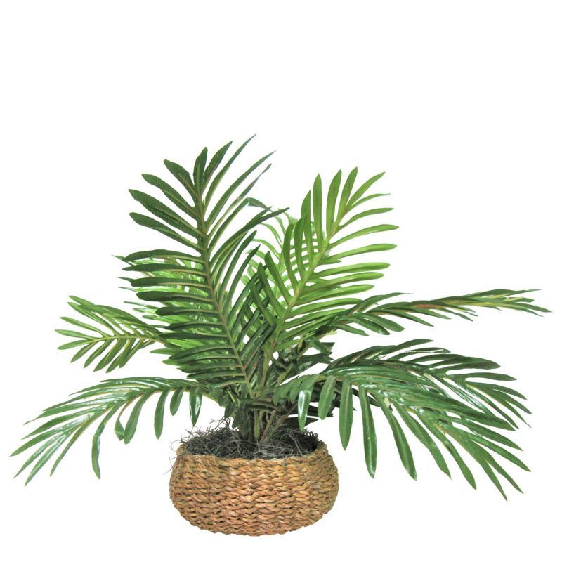 14" x 15" Artificial Palm Plant in Low Basket - LCG Florals | Target