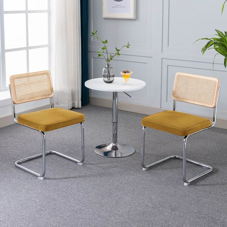 Crumley Velvet Upholstered Side Chair (Set of 2) | Wayfair North America